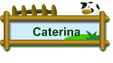 Caterina