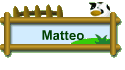 Matteo