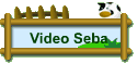 Video Seba
