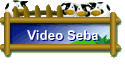 Video Seba